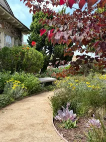 Cheerful Home&Botanic landscape - Image 5