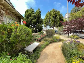 Cheerful Home&Botanic landscape - Image 4