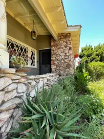 Cheerful Home&Botanic landscape - Image 3
