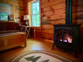 Secluded Salmon River Cabin - Image 3
