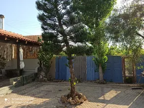Cactus Home - Image 2