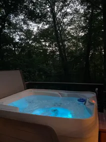 3m Dollywood, hot tub, fireplace, wifi, jacuzzi - Image 2