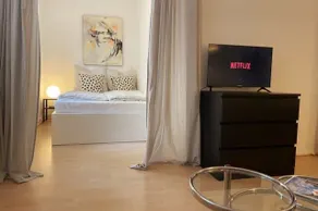 Apartment Strauss #EINS 1,5 Zi BS-östliches Ringgebiet - Image 3