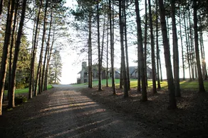 Wolf Glen Lodge, 200 Acre Retreat - Image 2