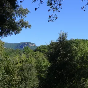 Cedre at Mitjanas: self-contained unit in nature - Image 3