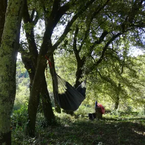 Cedre at Mitjanas: self-contained unit in nature - Image 2