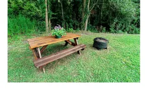 3 Bedroom Home near the eastern NC Wildlife Refuge - Image 4