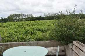 At the Miller's House - Image 5