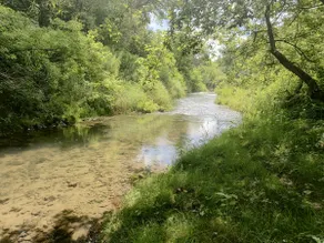 Rustic 4 bdr Family Cabin on Reads Creek - Image 3