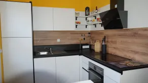 Spacious holiday apartment with terrace and garden - Image 4