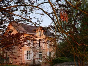 The bird mill - Image 2