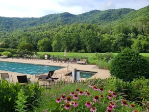 Cozy Cabin • Creek, Trails, Pool, Hot Tub & Gym - Image 2