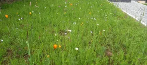 Cheerful Cottage - Image 3