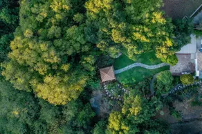 Urban Romantic Retreat Paradise in Garden & Trees - Image 3