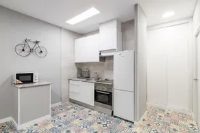 Close to Santiago Bernabéu -Business Area Apartmnt - Image 3