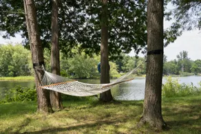 Nature lovers' place on the Moira River - Image 3