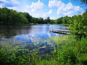 Nature lovers' place on the Moira River - Image 2