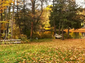 Nature lovers' place on the Moira River - Image 5