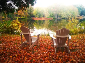 Nature lovers' place on the Moira River - Image 2