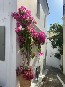 Raphael Skiathos Living-Venetia - Image 4