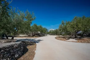 Olive Park House Brač - Image 3