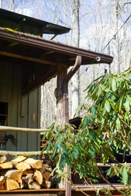 Rosecrans Cottage | Quiet Mountain Cabin - Image 3
