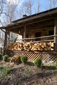 Rosecrans Cottage | Quiet Mountain Cabin - Image 4