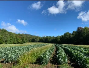 Spacious 1 Bedroom Studio Apt. on VT Hillside Farm - Image 5