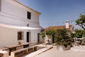 Noema - Image 5