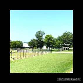 Lookout Guest House: One bedroom, country-living - Image 2