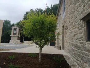 Landras de Compostela - Image 3