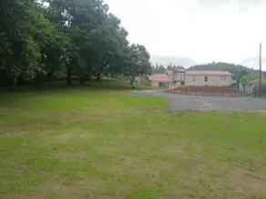 Landras de Compostela - Image 4