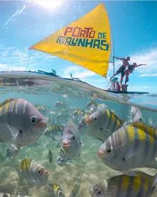 Flat High Wall Porto de Galinhas - Image 2