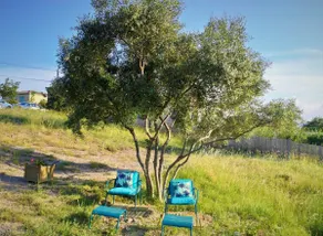 Peaceful garden level in the heart of southern Ardèche - Image 2