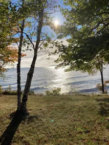 Peaceful lakefront cabin with sauna, fenced yard - Image 4