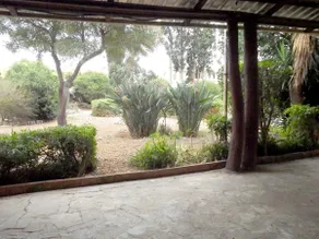 Pili Estate - Holiday Home - Image 3