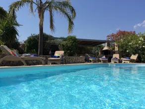 Serene Villa with Large Pool near Lassi/Argostoli - Image 3