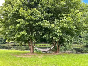 Watauga River Cottage in Johnson City, TN! - Image 2