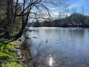 Watauga River Cottage in Johnson City, TN! - Image 5