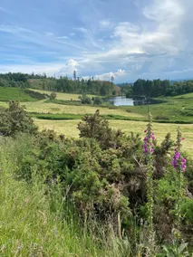 Drumtennant Cottage - Dunkeld - - Image 2