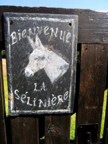 Welcome to La Sélinière! - Image 3