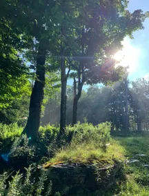 Catskills Peace & Forest Cabin near Roscoe NY - Image 3