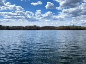 Lakeside cabin with beautiful view of the lake! - Image 3