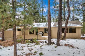 3 Wolf @ Sunriver - Image 3