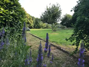 Bien-être et calme au gîte du Domaine des Ifs - Image 4