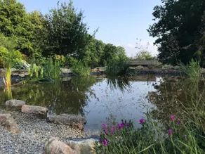 Bien-être et calme au gîte du Domaine des Ifs - Image 5