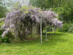 Marlboro Beach Cottage - Image 3