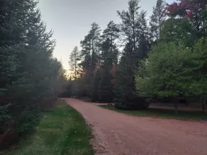 Peaceful 3 bedroom cabin on UTV/snowmobile trails - Image 4