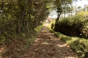 Beautiful country cabin 17 km from Jalapa, Ver. - Image 4