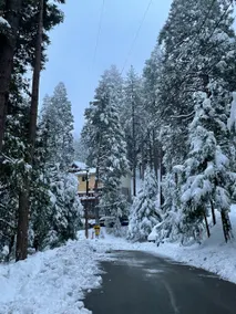 Lake Arrowhead Area - Romantic & Cozy Cabin - Image 2